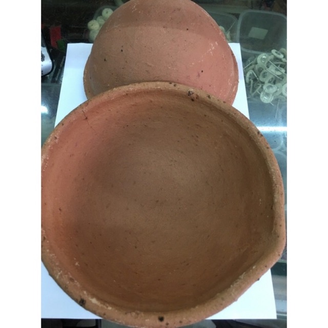 KOWI-kowi jawa/kowi merah ukuran 17cm