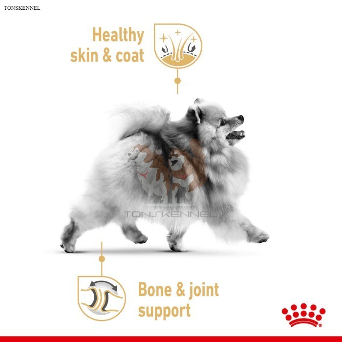 Royal Canin Pomeranian Adult Makanan Anjing Dewasa Dry 1,5kg rc