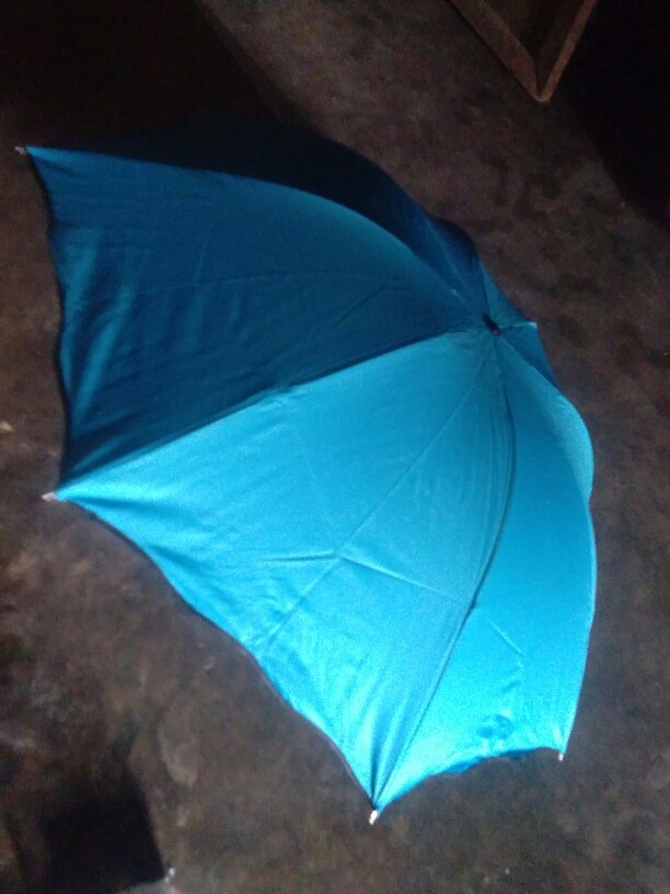 Shenarserbaunik Payung Magic 3d / Payung Bermotif Saat Hujan