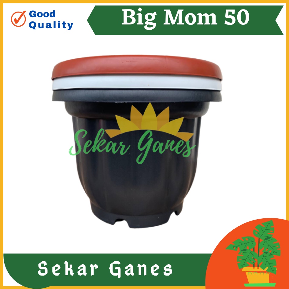 ONLY SAMEDAY AND INSTAN Pot Gloria 50 Hitam - Pot Besar Jumbo 50cm Pot Besar Plastik Bahan Tebal - Pot Hitam Gloria 50 60 70