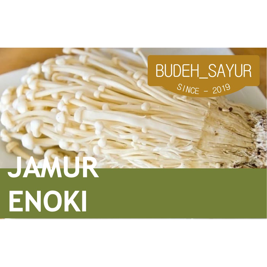 

Jamur Enoki 100gr