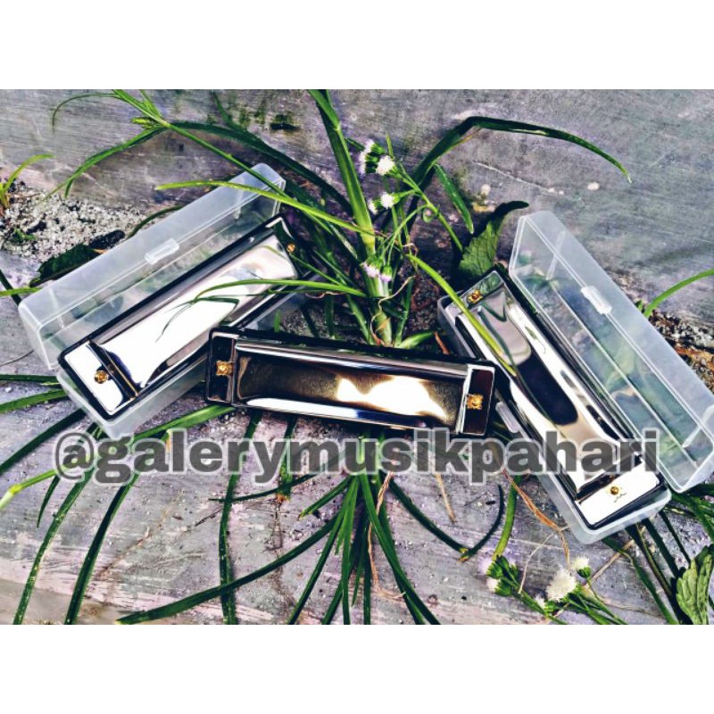 Harmonika 24 Hole Swan Suzuki