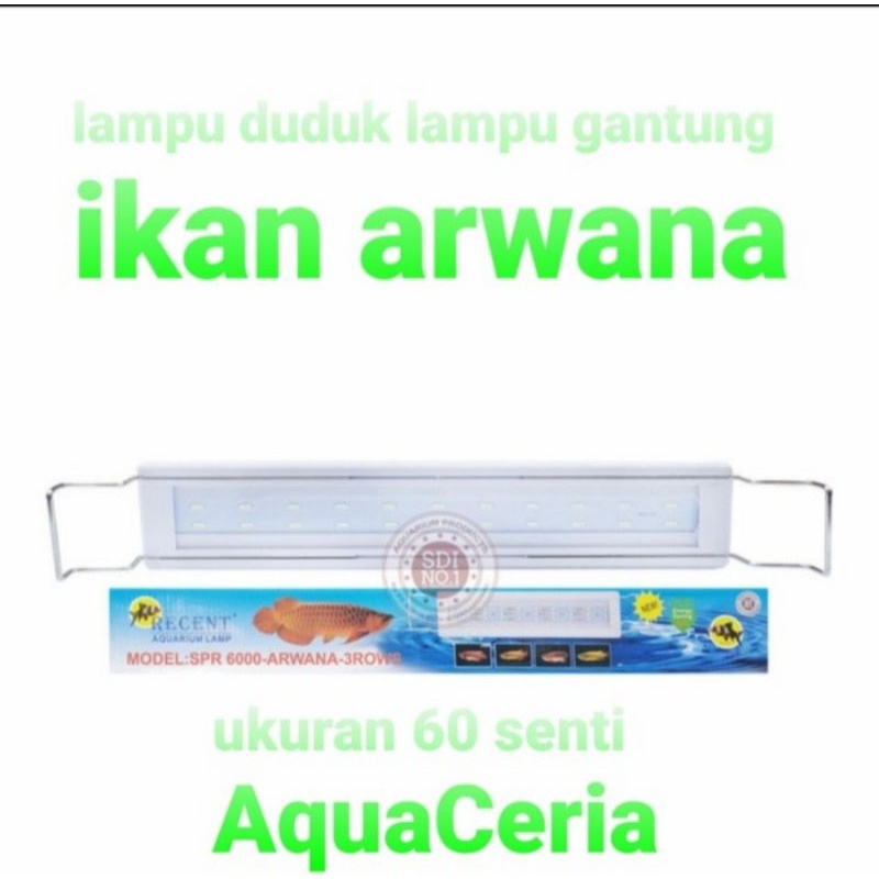 lampu spr recent 6000 lampu aquarium ikan arwana lohan ikan kelas