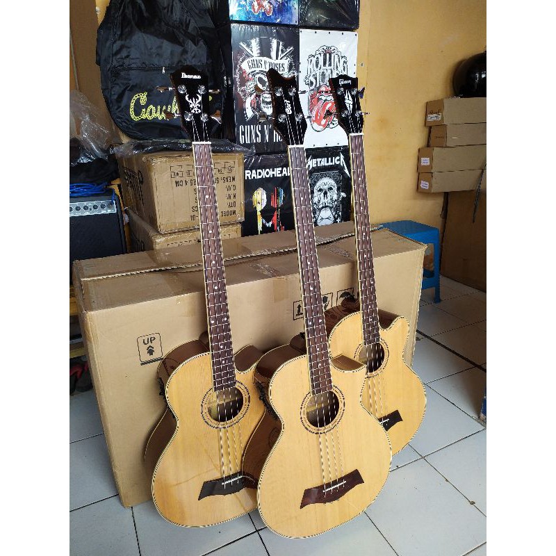 Bass Akustik Elektrik