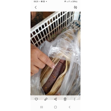 

gula aren khas garut per kg