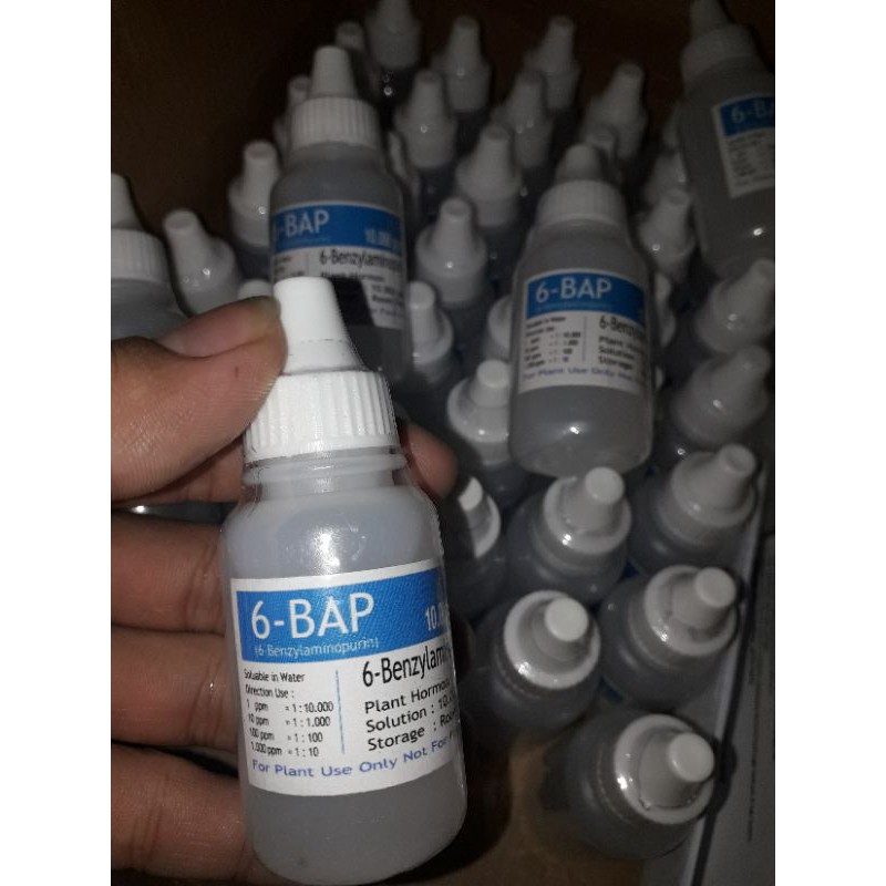 Hormon 6 BAP Biru / Benzylaminopurin (Penumbuh tunas Anggrek)