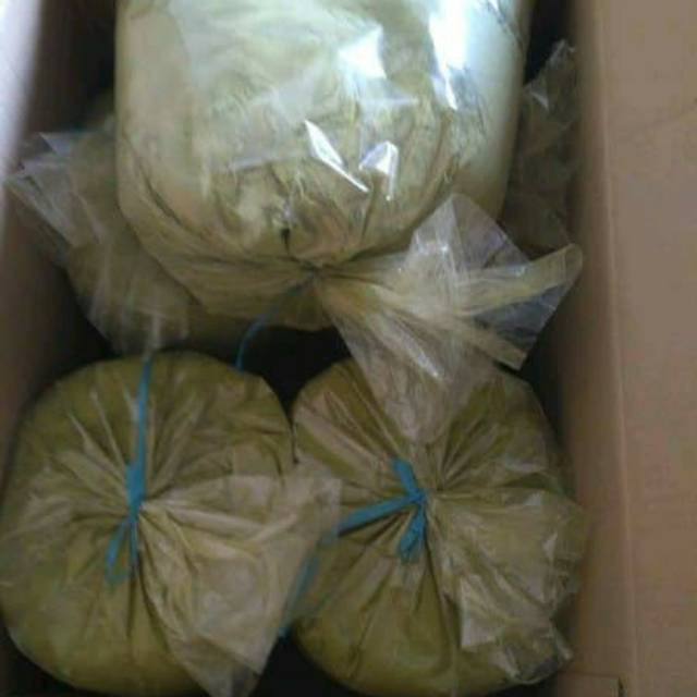 

katuk bubuk 500 gram