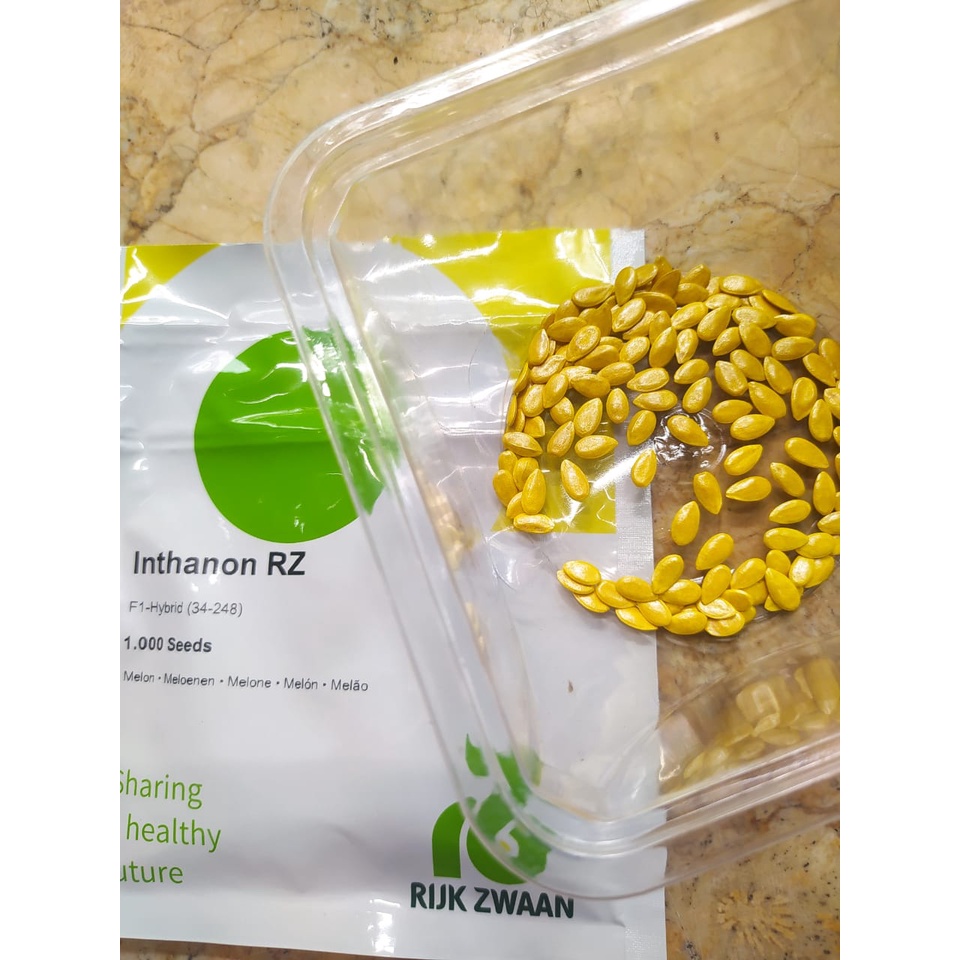 BIBIT BENIH MELON RZ INTHANON IMPORT BELANDA REPACK ISI 10PCS - INTHANON