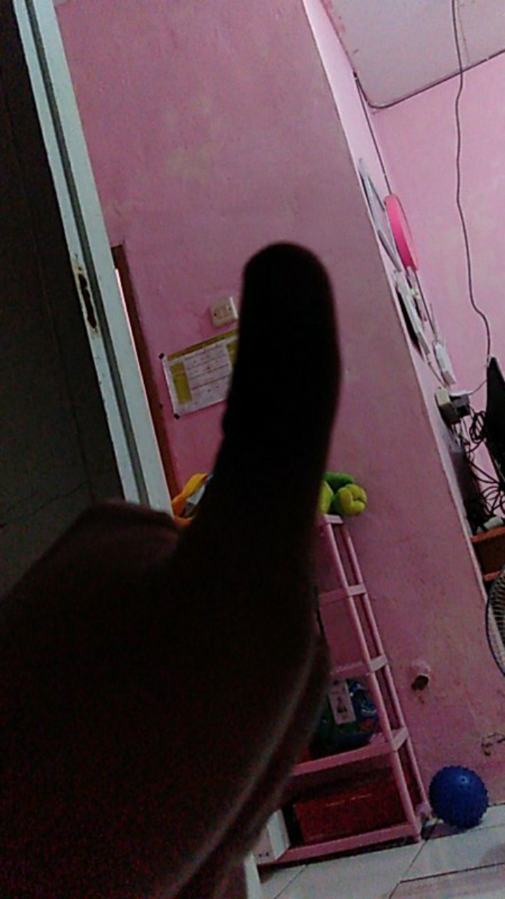 Parafilm M, Untuk Grafting/okulasi Ukuran 4 X 10 (10cm X 25cm)