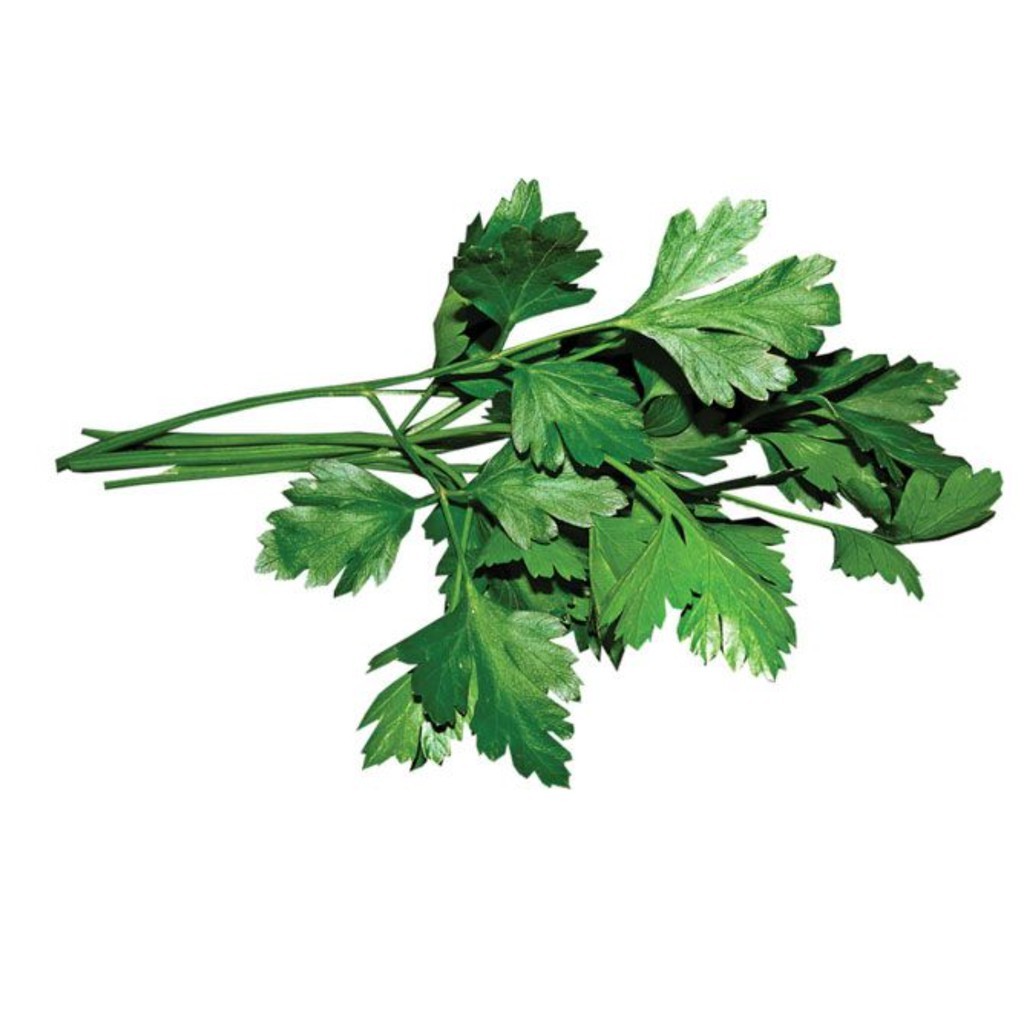 Parsley Organik 50 g