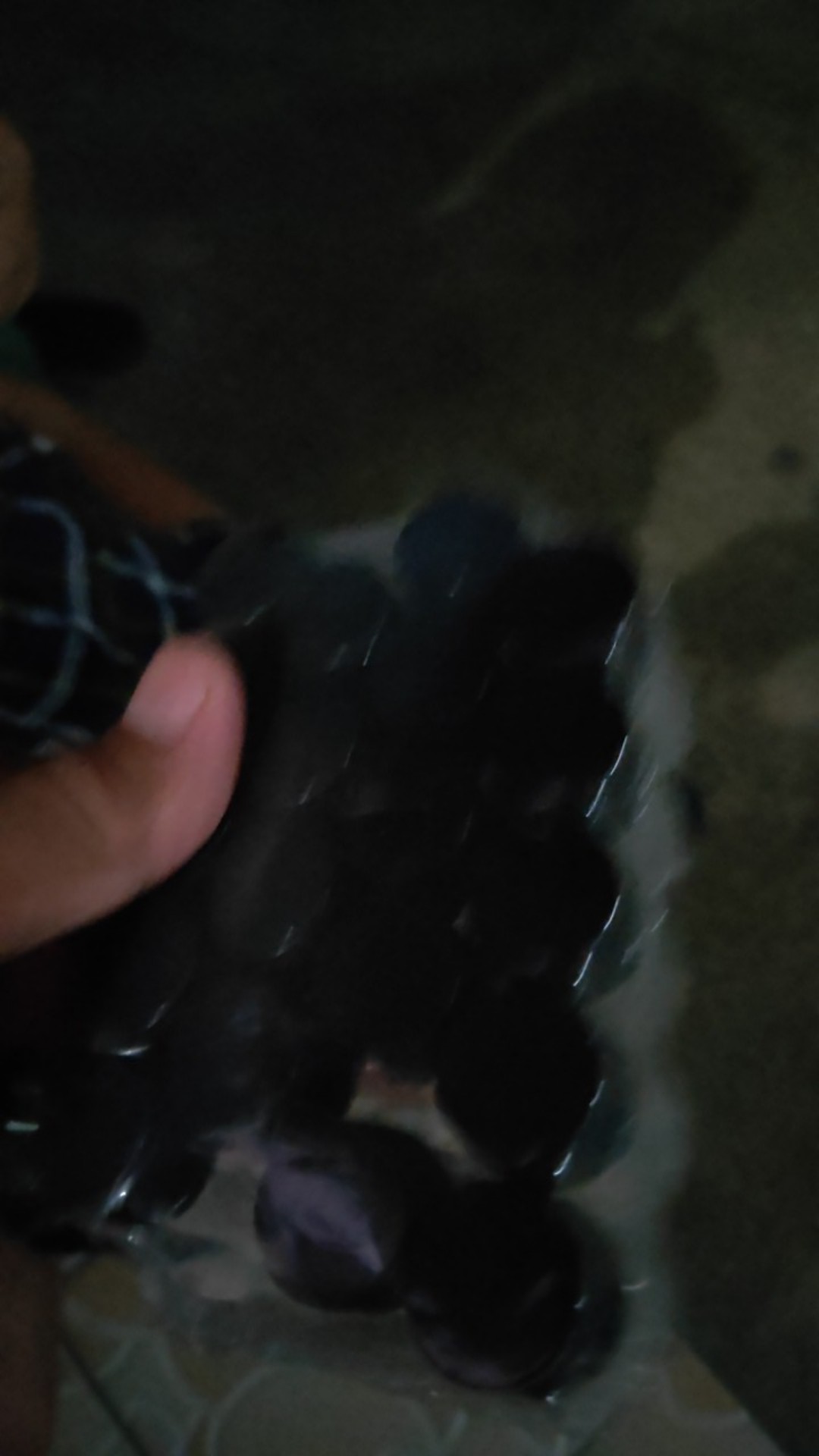 Botol Kaca 5ml Bening Tutup Ulir Plastik