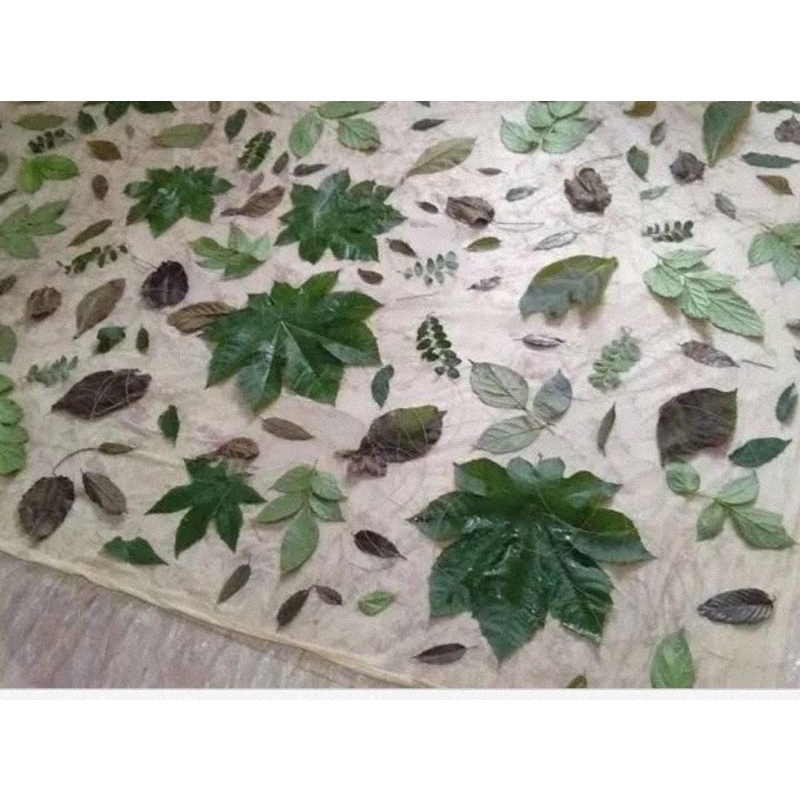 paket daun ecoprint