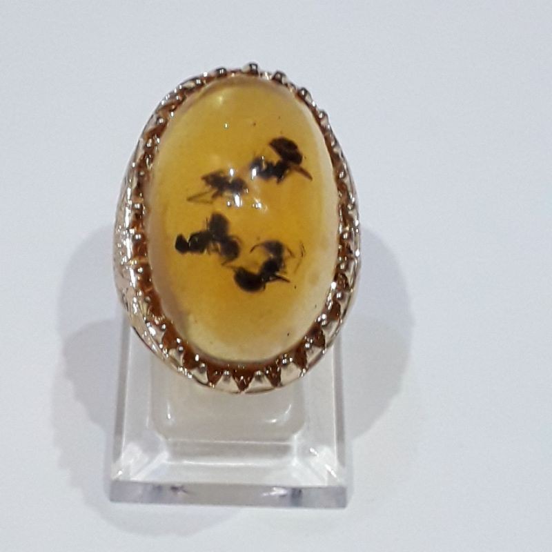 Batu Akik Amber Katilayu Semut Obsidian