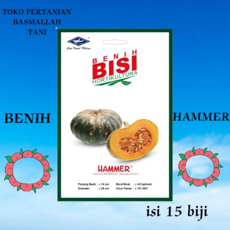 BENIH BISI HAMMER ISI 15 BIJI