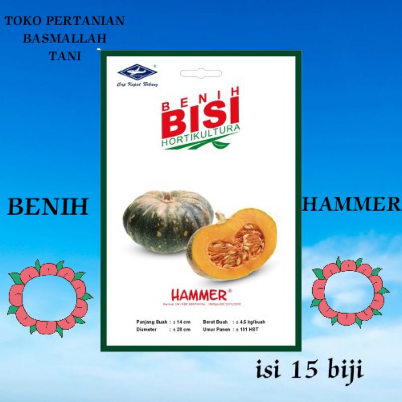 BENIH BISI HAMMER ISI 15 BIJI