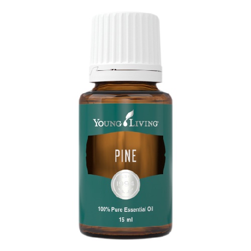 Pine Essential Oil Young Living