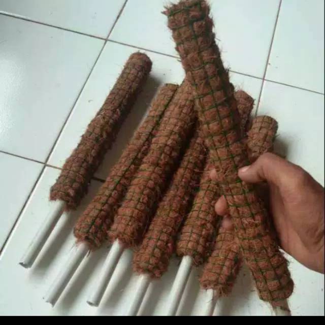 Turus penyangga tanaman 30cm