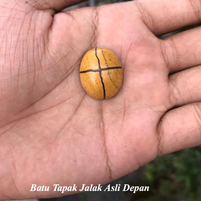 Batu Tapak Jalak Kalimantan Natural dan langka