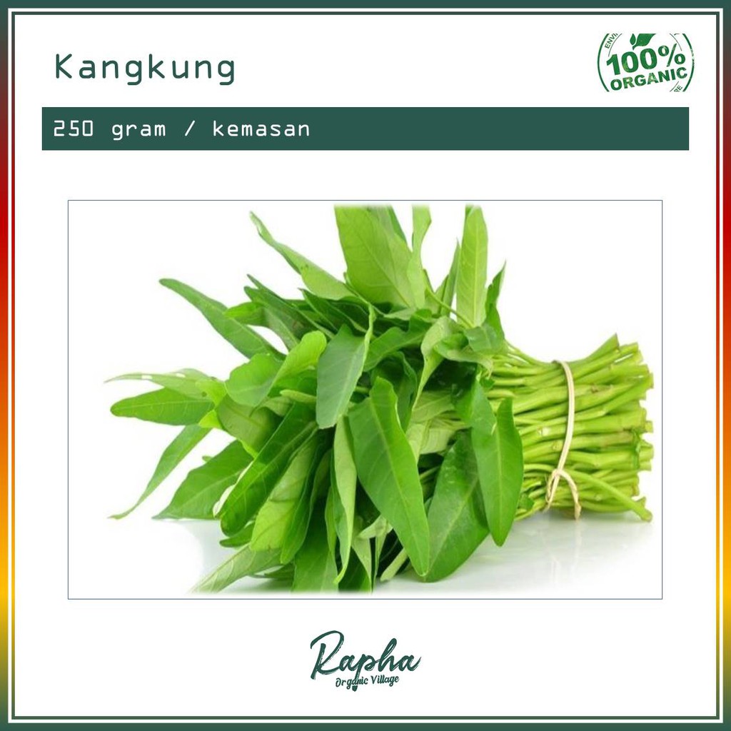 

Kangkung Organik