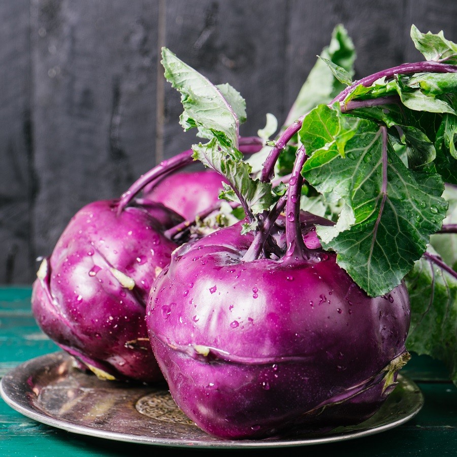 Benih Bibit Biji - Kohlrabi Purple Ungu Seeds - IMPORT