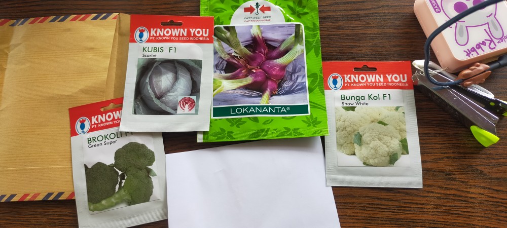 Kobis Merah-benin Bibit Biji Kubis Scarlet F1 (150btr)