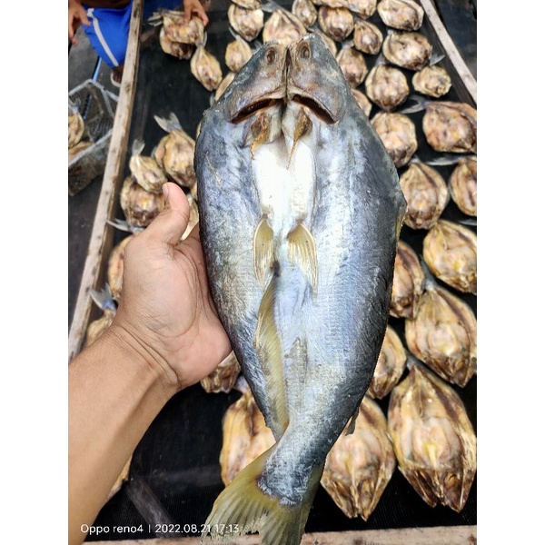 

Ikan asin patin