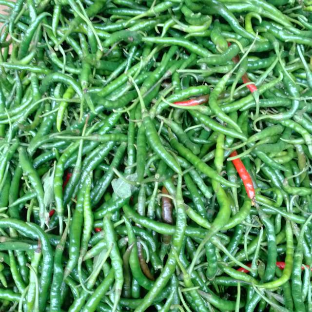 

Cabe keriting hijau 250g