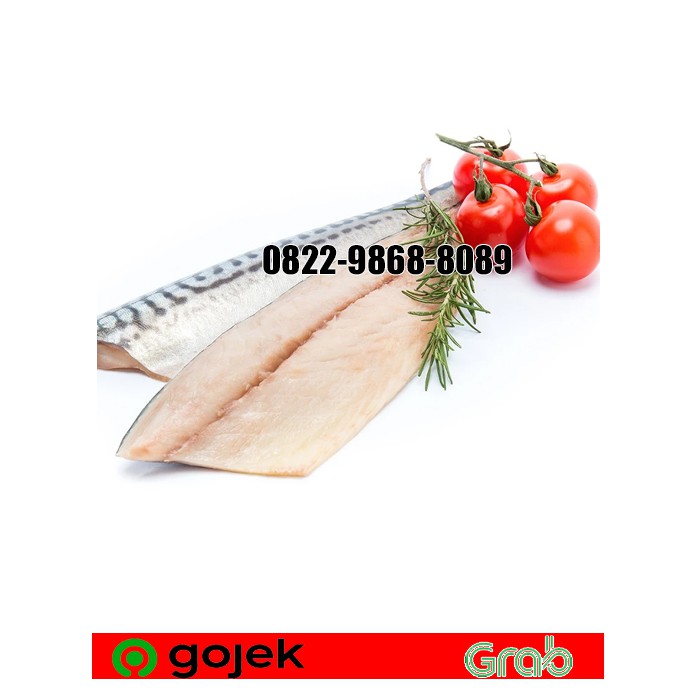 

FILLET SABA / FILLET MACKEREL / FILLET MACKEREL 1 PCS