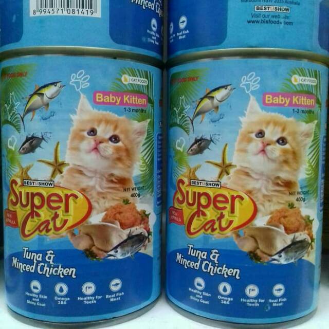 super cat baby kitten