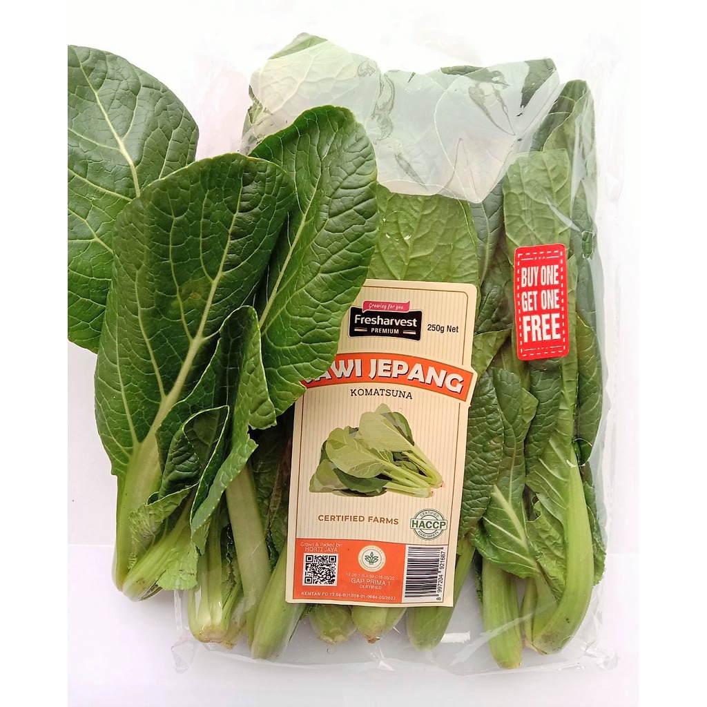 Jual Buy 1 Get 1 Fresharvest Sawi Jepang Komatsuna 250 Gr Sayur