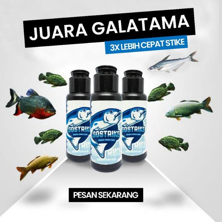 Special Price.. Essen Pancing GO Strike