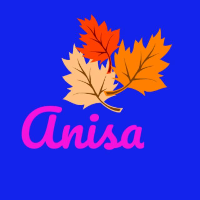 anisa_shop1528