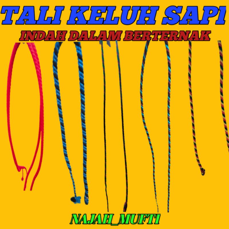 TALI KELUH SAPI.