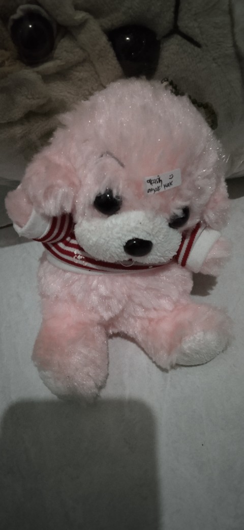 Pesanan Kak Chisha_souvenir