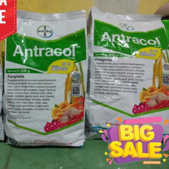 

[HARGA RESELLER] Antracol 70 WP 500 gr