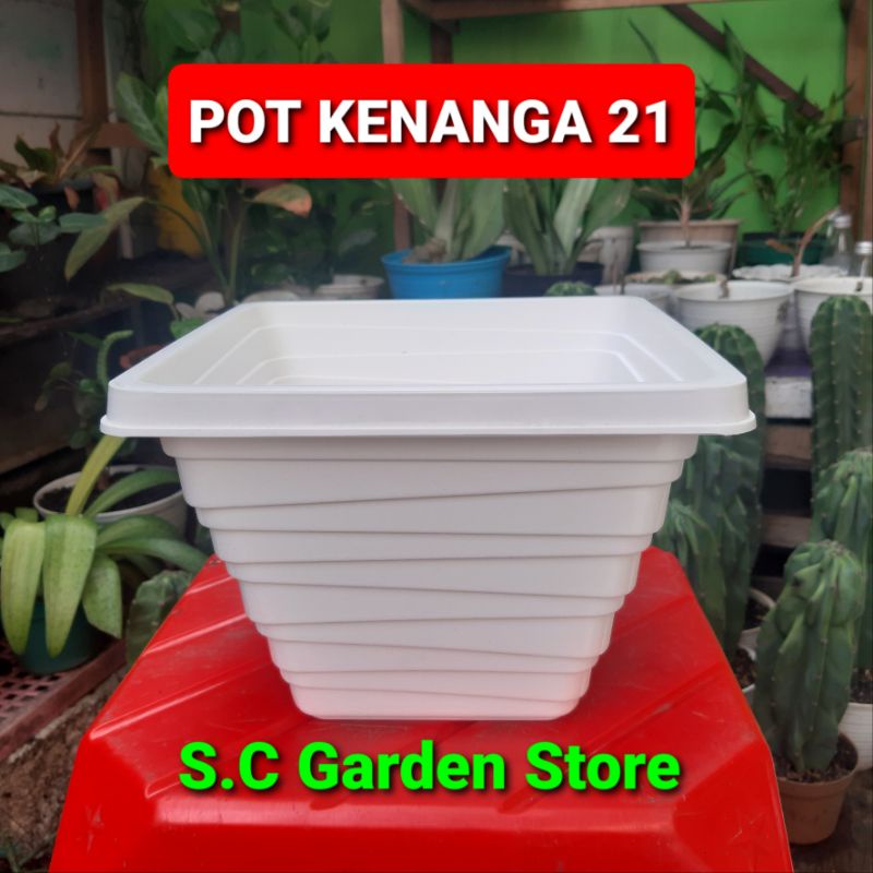 POT BUNGA KOTAK KENANGA 21 WARNA PUTIH | POT TANAMAN | POT PLASTIK | POT MURAH