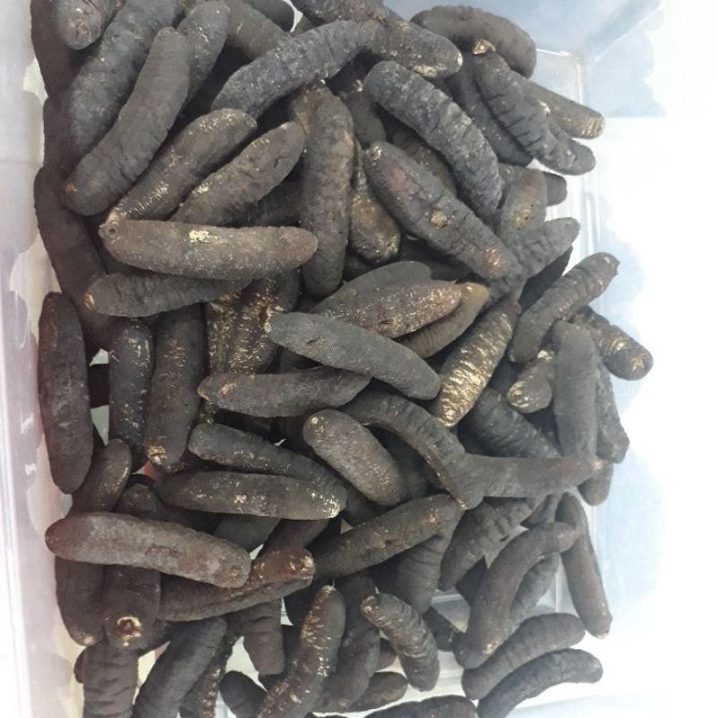 

Haisom Gosok 50 (100 Gram)