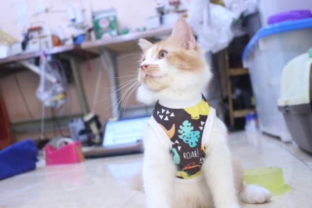 Baju rumahan untuk kucing motif dino coklat / baju kucing murah size S M L XL