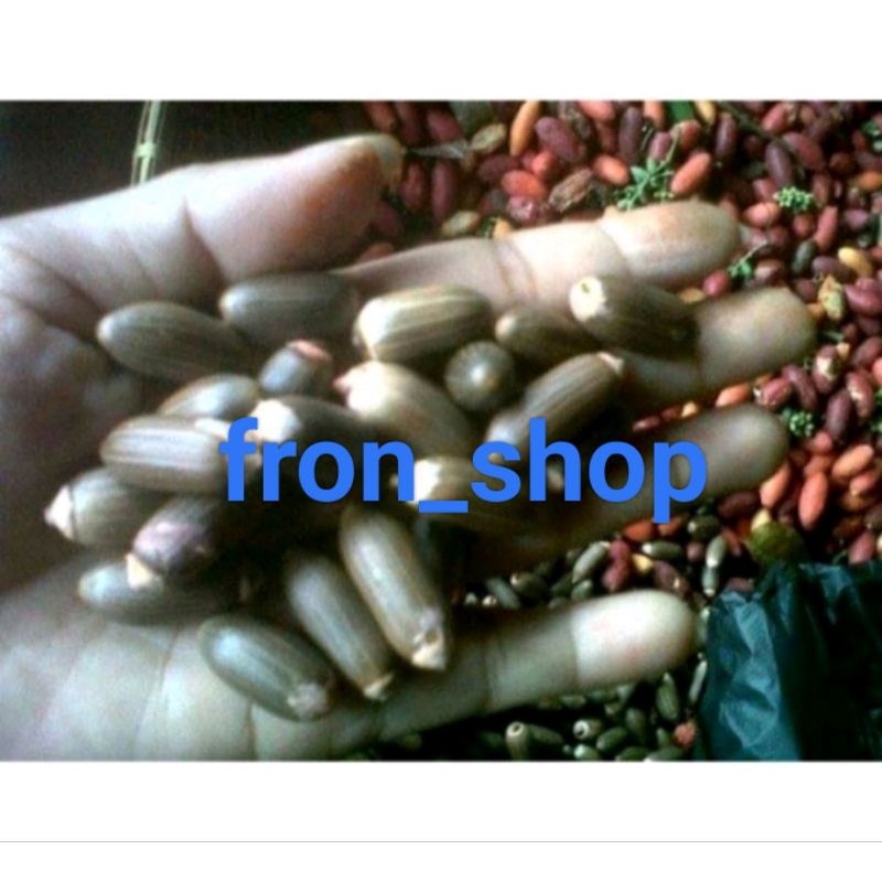 

1KG BIJI MELINJO SUPER/BIJI MELINJO BARU TERMURAH ASLI