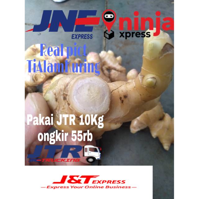 

Ready stok Jahe gajah/ Jahe putih segar 1kg langsung petik