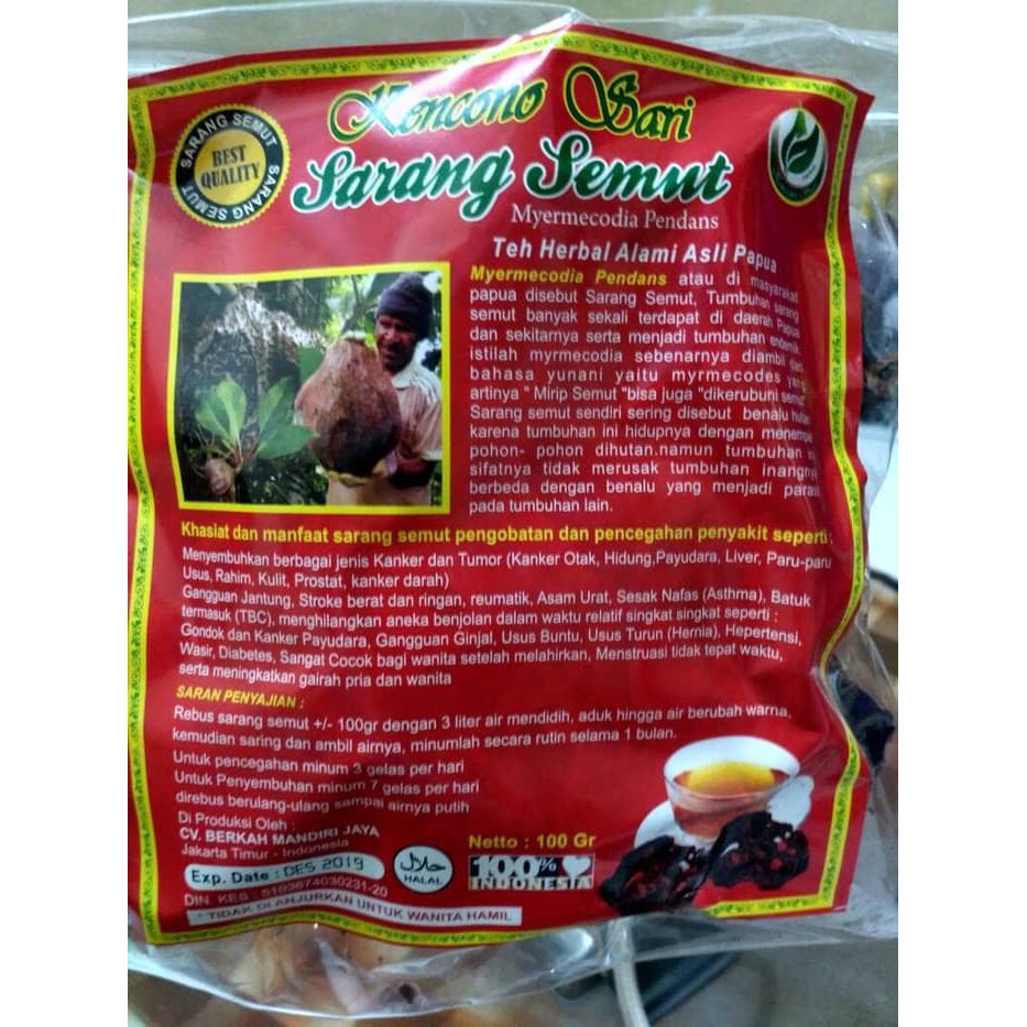 Sarang Semut Curah Herbal Asli 100% Original Papua