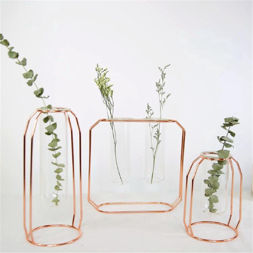 Botol Kaca Pot Tanaman Hidroponik Terrarium Shopee Indonesia Botol Kaca Pot Tanaman Hidroponik Terrarium Shopee Indonesia
