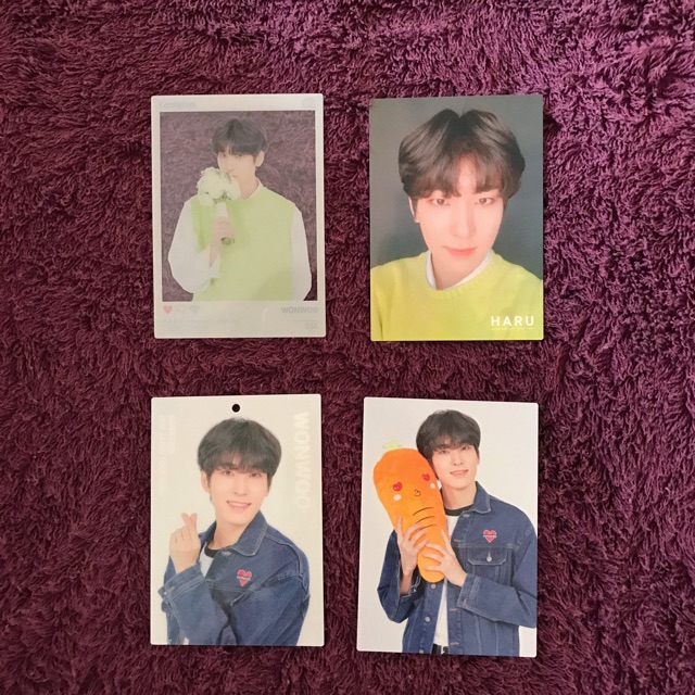 Wonwoo Haru Tour Japan Trading Card