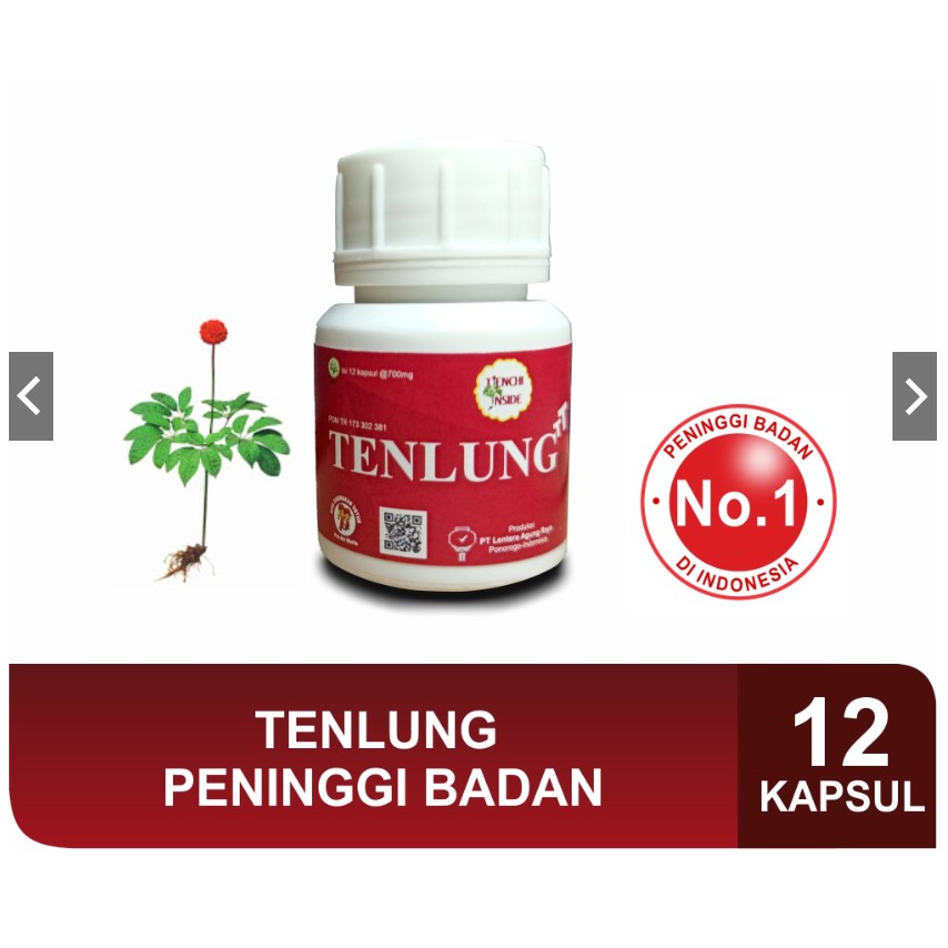 Herbal Peninggi Badan Tenlung (Tenlung TT) KECIL Isi 12 Kapsul