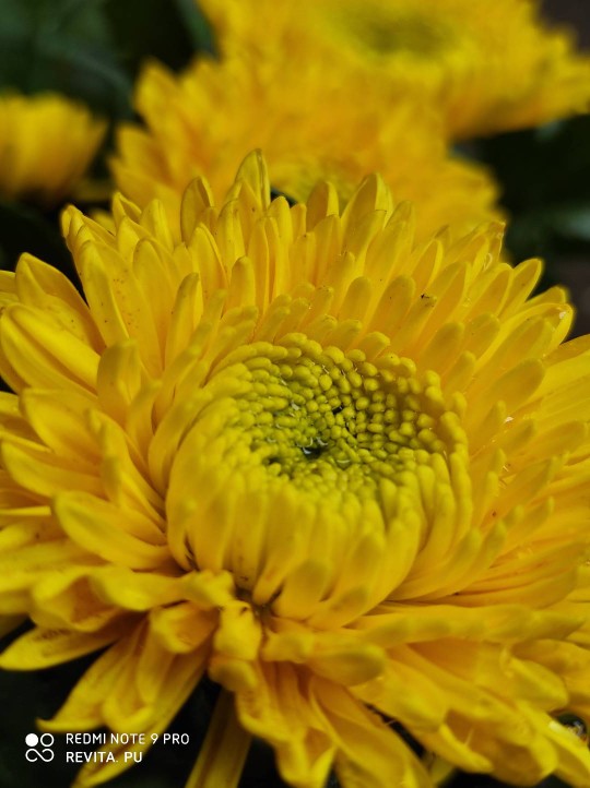 Kotak Penyimpanan Kontainer Sampah Dapur Mini Kantor Kreatif Desktop