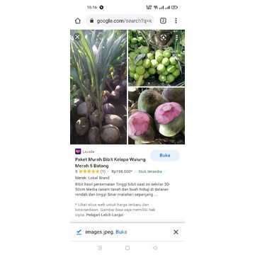 

paket kelapa 5 unggul