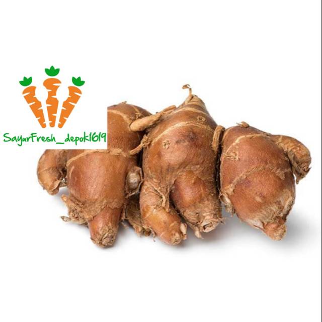 

Kencur Fresh 250gr | by SayurFresh_Depok1619