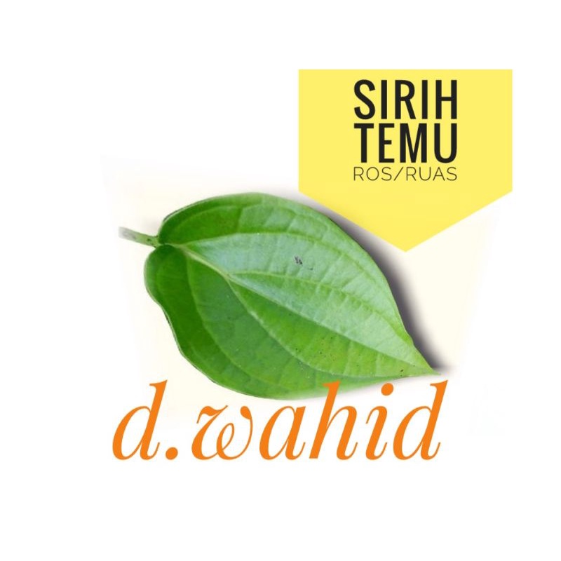 Daun Sirih Temu Ros (ketemu ruas)