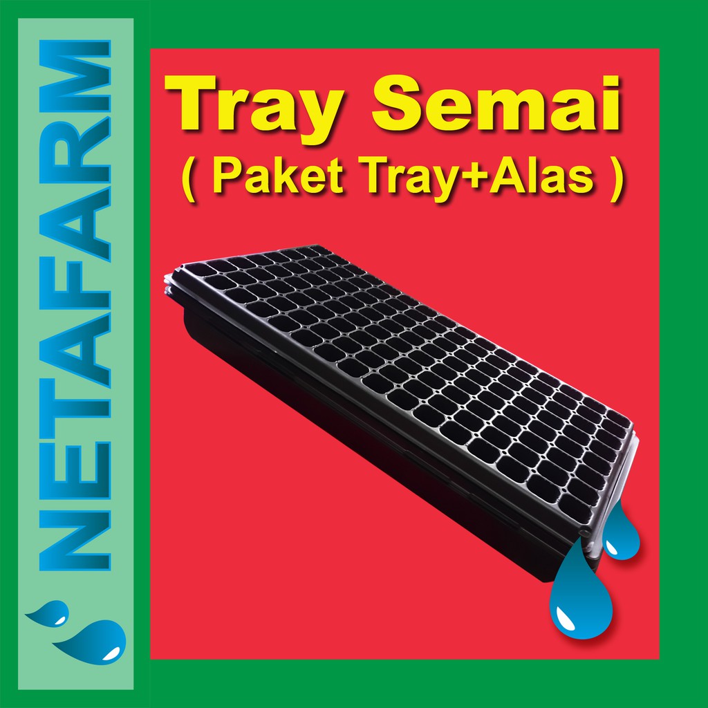 Paket 2pcs Nampan Alas tray + 2pcs Tray semai 128 lubang