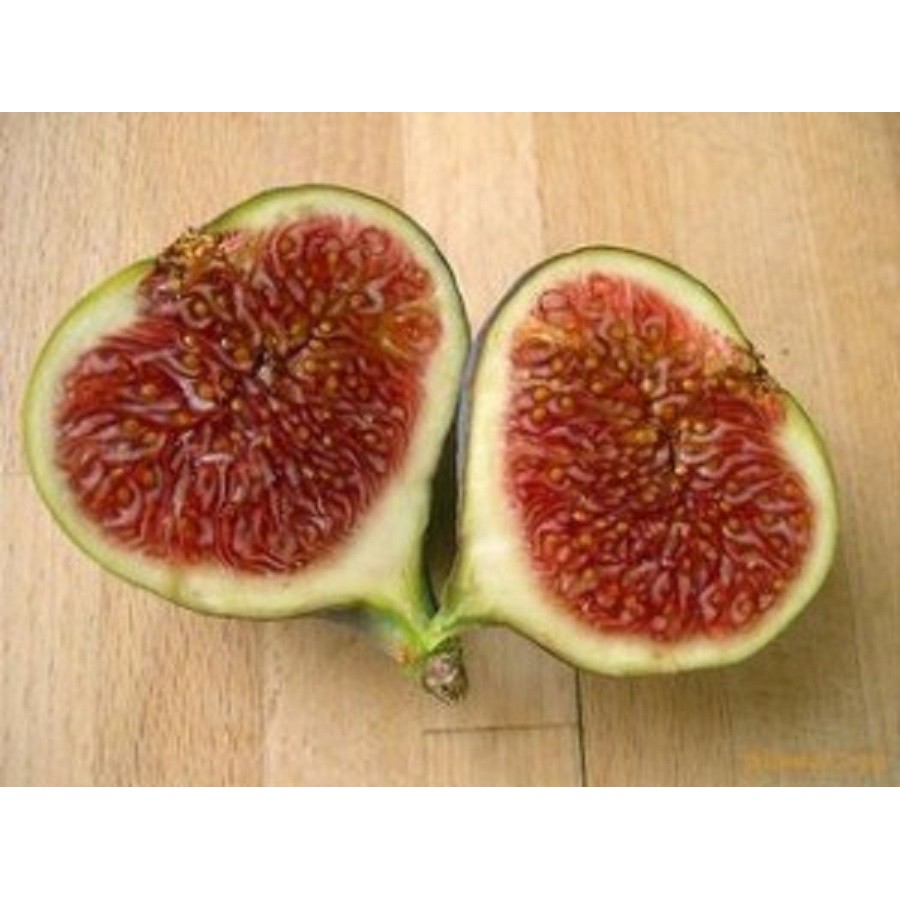 

BUAH TIN / BUAH ARA 1 KG